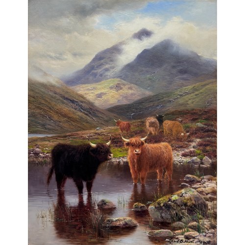Highland cattle